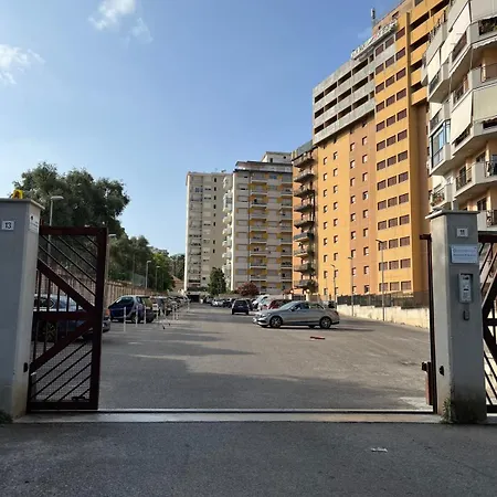 Petrocelli 364 * Palermo